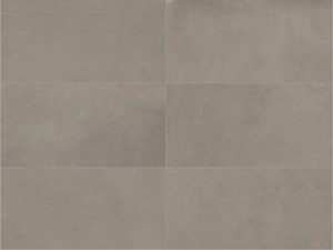 Vision DW Taupe Matte 12x24 24x24 24x48